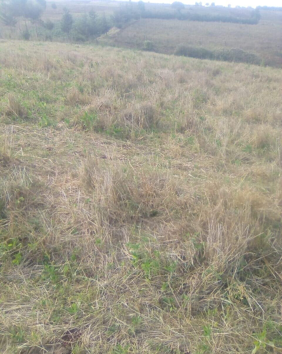 2.5-Acre Plot for KSh 3.5M