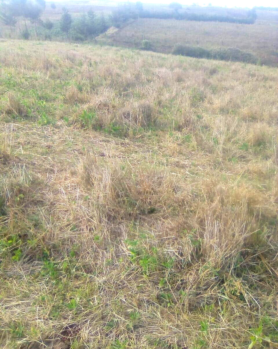 2.5-Acre Plot for KSh 3.5M