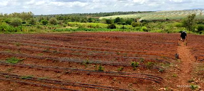 5.Acres for Sale at Kithimani - Image 1