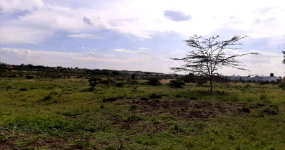 1/8 Acre Plot with Garden in Kajiado