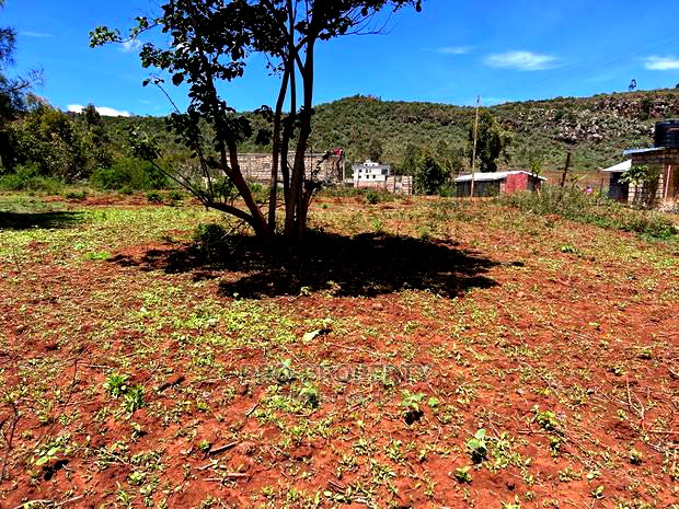 50 X 100ft Plot for Sale in Kikuyu, Nachu.