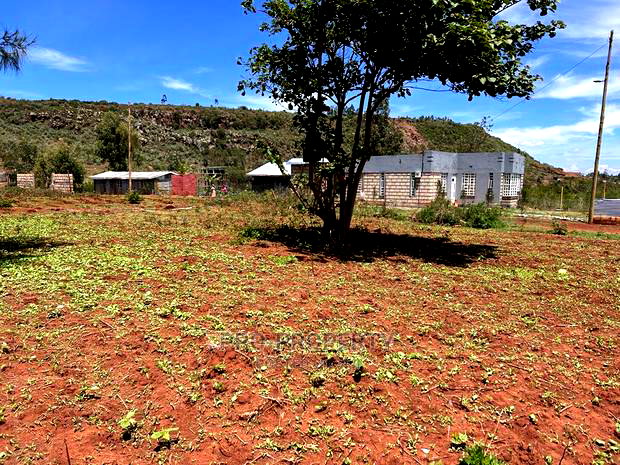 50 X 100ft Plot for Sale in Kikuyu, Nachu.