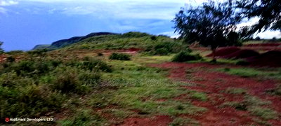 Quick Sale!! 4acres Near a Flower Farm With Ready Title Deed - Image 9