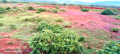 Quick Sale!! 4acres Near a Flower Farm With Ready Title Deed - Image 3