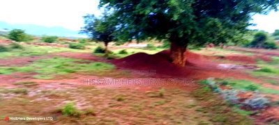 Quick Sale!! 4acres Near a Flower Farm With Ready Title Deed - Image 6