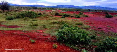 Quick Sale!! 4acres Near a Flower Farm With Ready Title Deed - Image 4