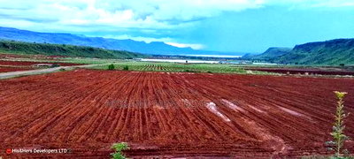 Quick Sale!! 4acres Near a Flower Farm With Ready Title Deed - Image 1