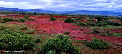 Quick Sale!! 4acres Near a Flower Farm With Ready Title Deed - Image 7