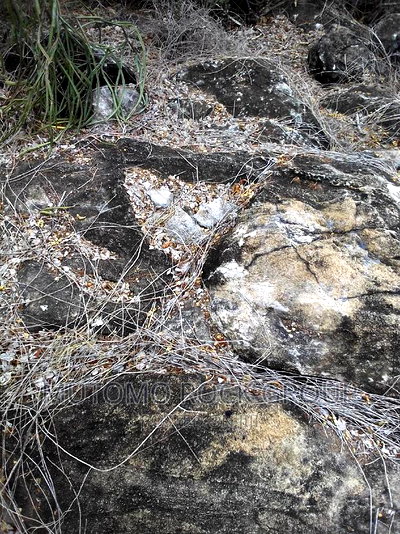 2500acres Limestone Land for Sale With Title - Image 4