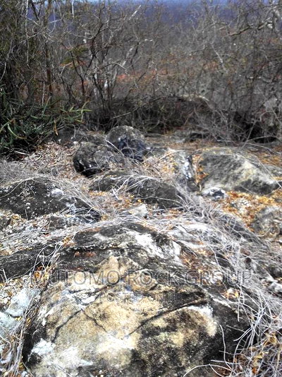 2500acres Limestone Land for Sale With Title - Image 2