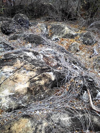 2500acres Limestone Land for Sale With Title - Image 3