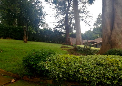 Garden Plot at KSh 100K