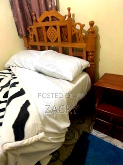 Furnished Mini Flat in Posta Stage, Adams, Jamhuri Estate for rent - Image 3