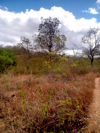 2 Acre Farm , Mutune - Image 1