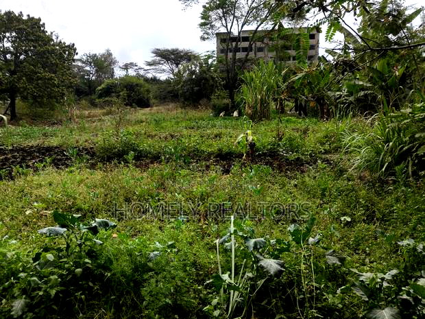 2 Acre Piece of Land on Sale in Ongata Rongai, Rimpa Touching Tarmac