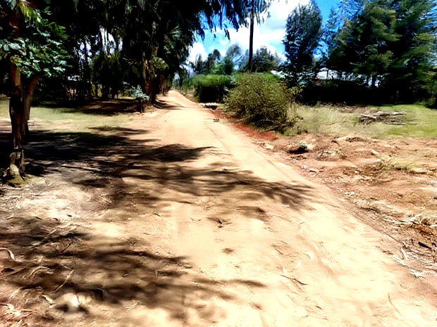 Prime Plots Oljoro-Orok Center
