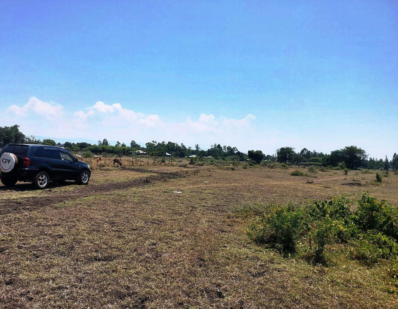 KSh 650K Buoye Plot