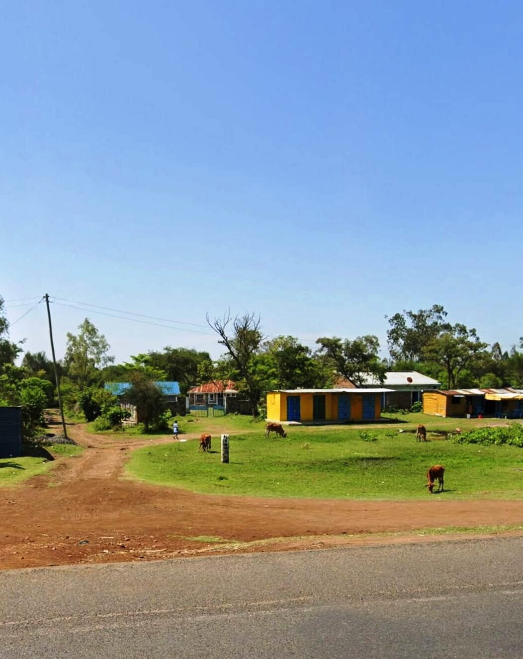 KSh 650K Buoye Plot