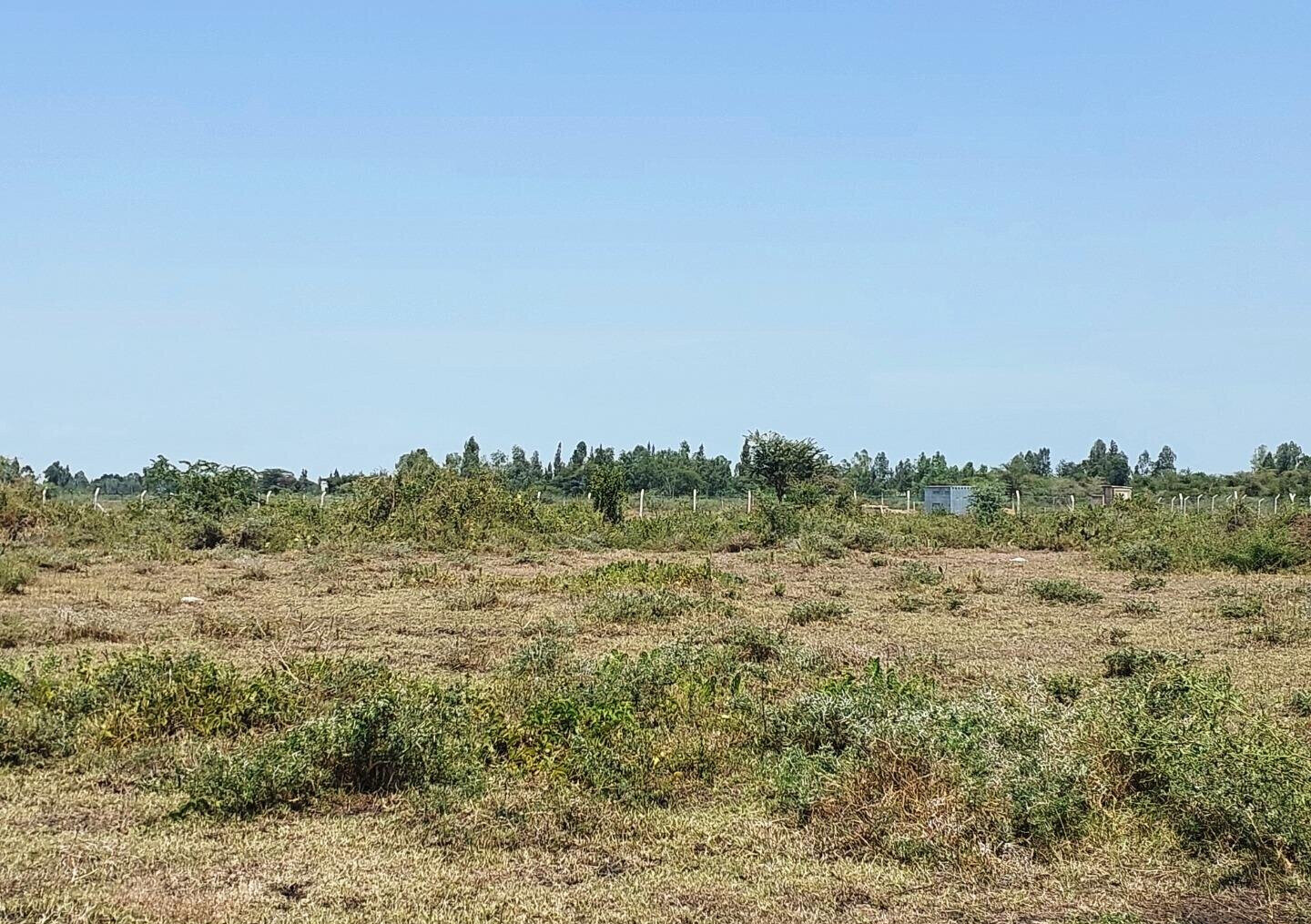 KSh 650K Buoye Plot