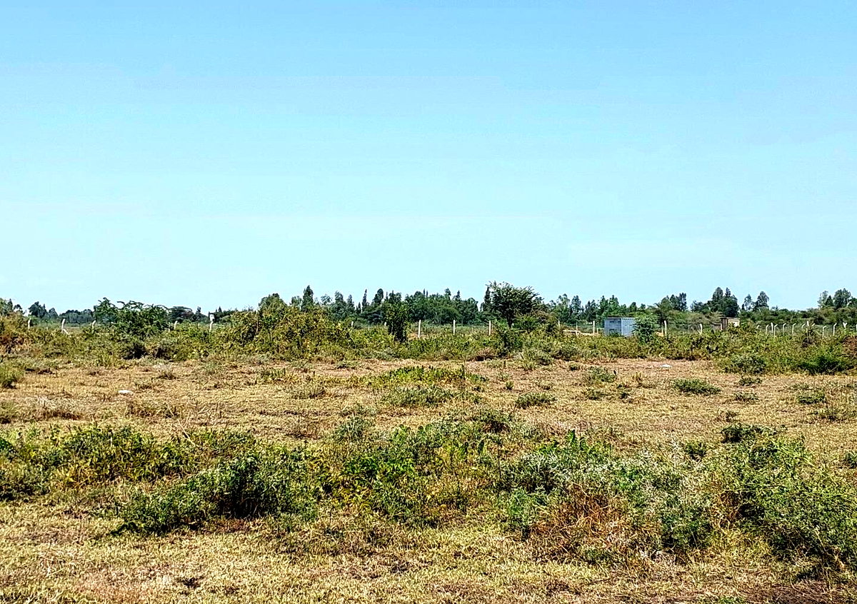 KSh 650K Buoye Plot