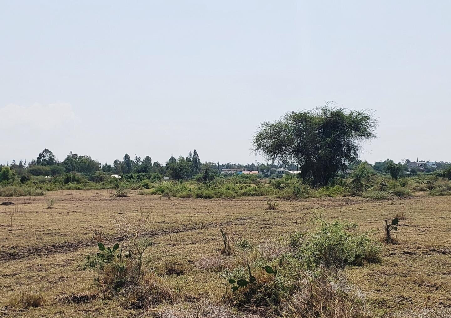 KSh 650K Buoye Plot