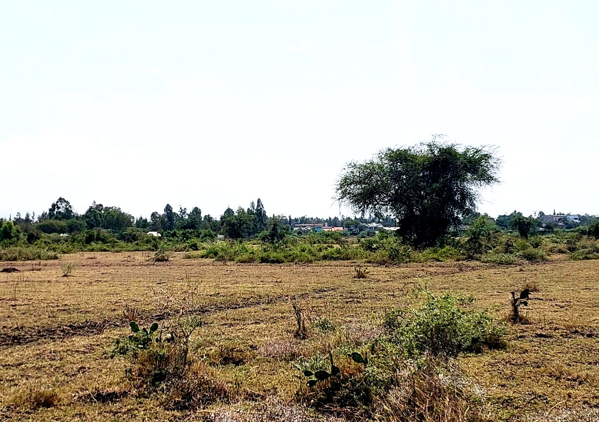KSh 650K Buoye Plot