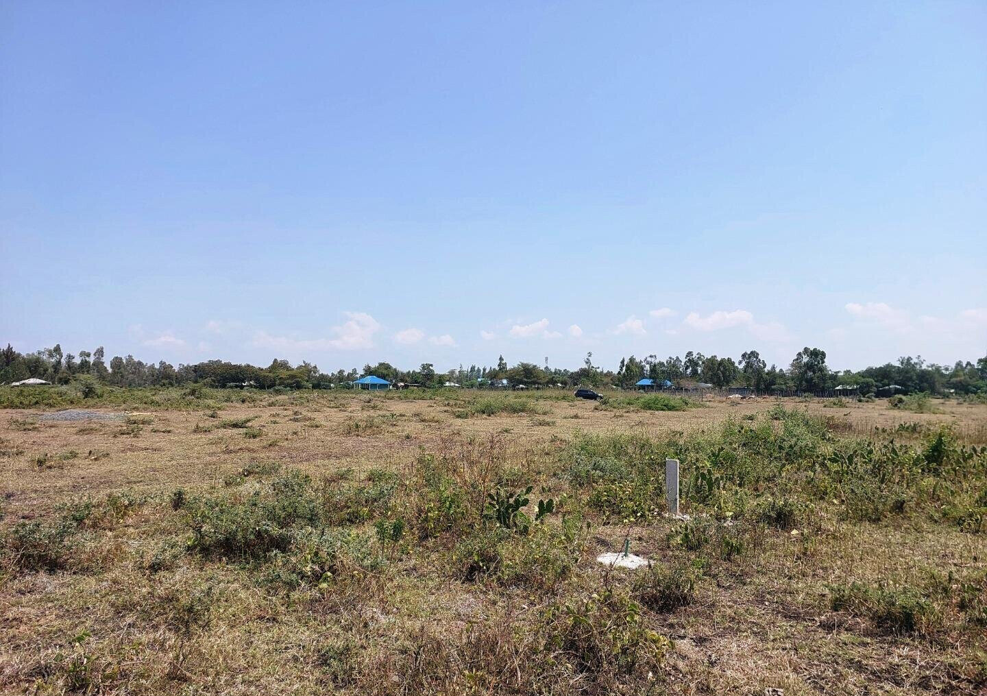 KSh 650K Buoye Plot