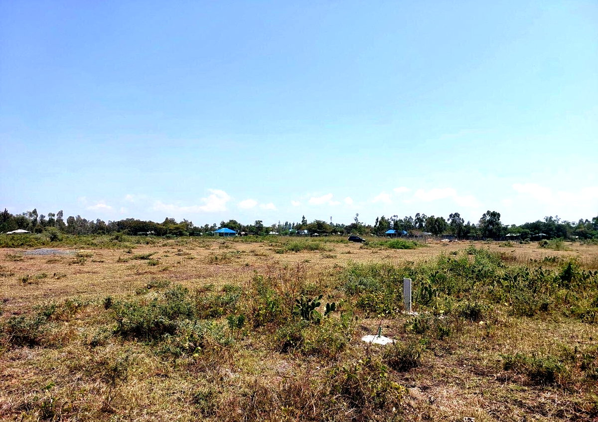 KSh 650K Buoye Plot