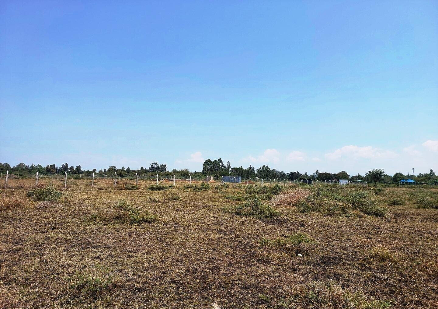 KSh 650K Buoye Plot
