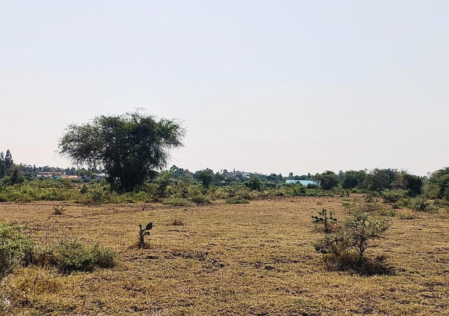 KSh 650K Buoye Plot
