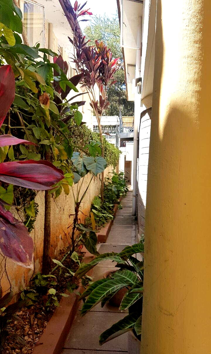 4 En-Suite Townhouse with DSQ & Family Room - Kilimani
