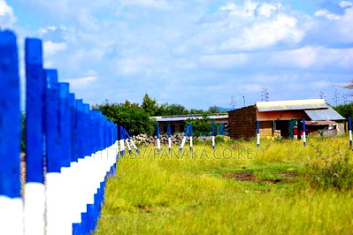 Malaa Plots - Image 3