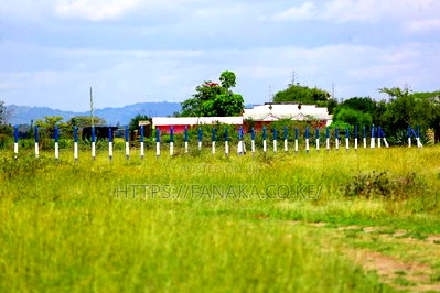 Malaa Plots - Image 2