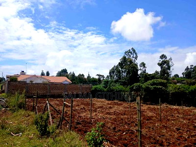 50 by 100 Residential Plot for Sale in Kikuyu,Gikambura - Image 4