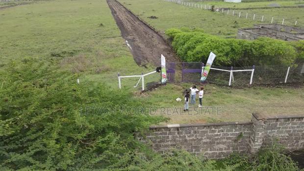 Plots, 50 by 100, 500 Meters From the Highway