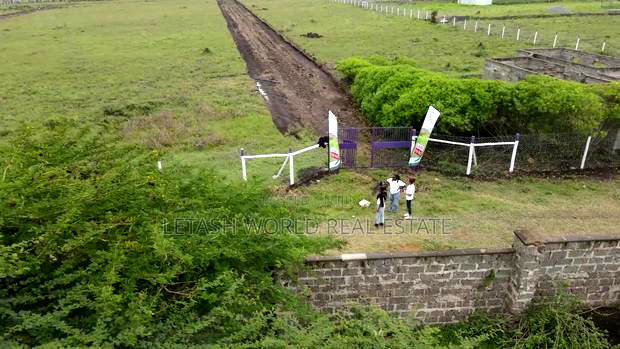 Plots, 50 by 100, 500 Meters From the Highway