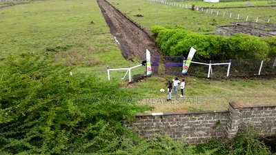 Plots, 50 by 100, 500 Meters From the Highway - Image 5