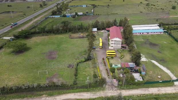 Plots, 50 by 100, 500 Meters From the Highway
