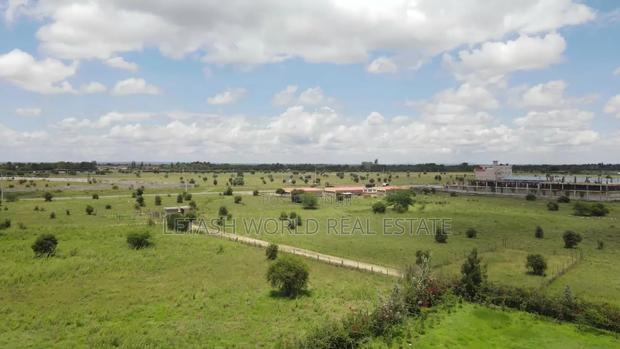 Plots, 50 by 100, 500 Meters From the Highway