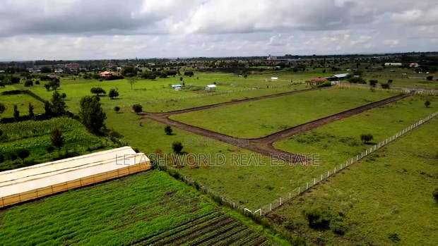 Plots, 50 by 100, 500 Meters From the Highway