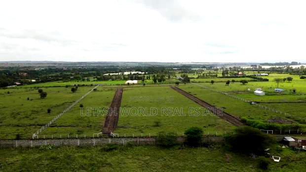 Plots, 50 by 100, 500 Meters From the Highway