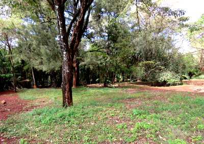 2-Acre Haven in Kitisuru at KSh 220M