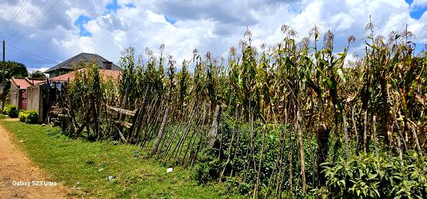 Commercial Plot for Sale Touching Tarmac Kapsoya Eldoret