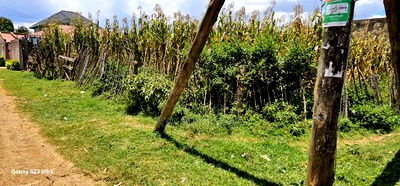 Commercial Plot for Sale Touching Tarmac Kapsoya Eldoret - Image 5