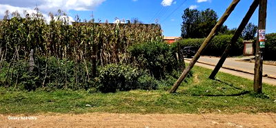 Commercial Plot for Sale Touching Tarmac Kapsoya Eldoret - Image 3