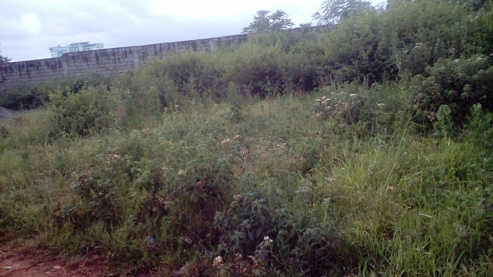 13-Acre Garden Land with Parking - Thika