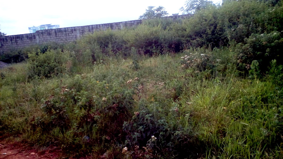 13-Acre Garden Land with Parking - Thika