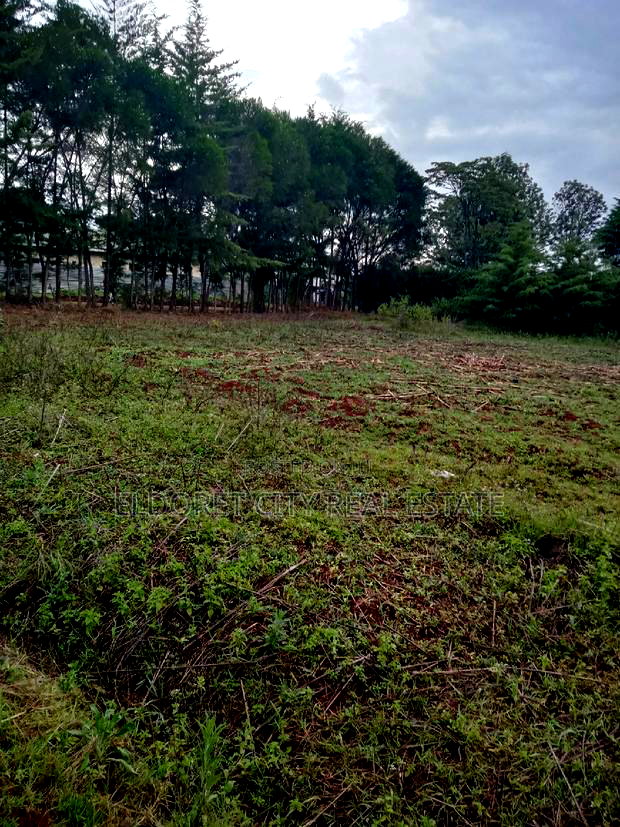 1/8 Plot Kapsoya 100 Metres From Tarmac