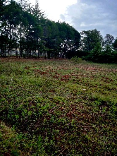 1/8 Plot Kapsoya 100 Metres From Tarmac - Image 2