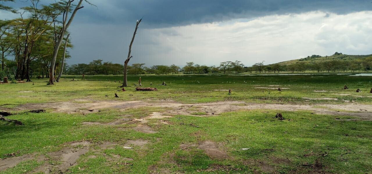 Lake Elmenteita 5-Acre Plot for KSh 30M